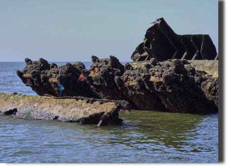 Zylinder der Hauptmaschine Zylinder der Hauptmaschine